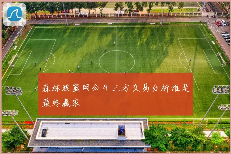 森林狼篮网公牛三方交易分析谁是最终赢家